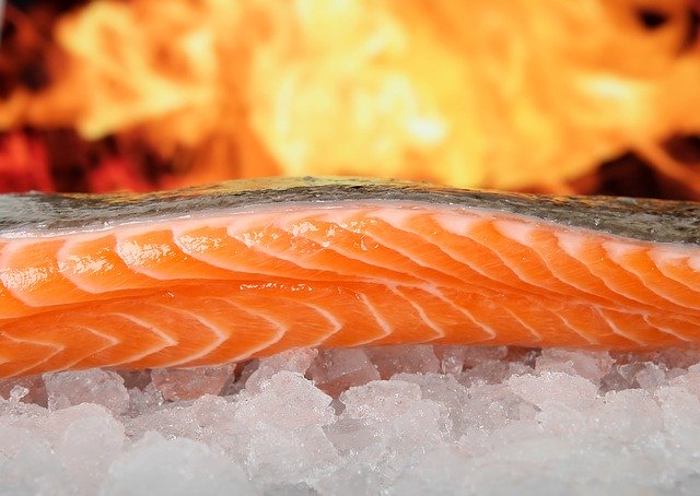 salmon-1238662_640